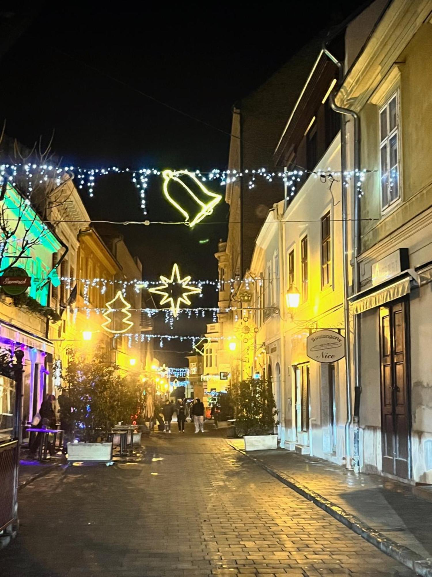 K29-cozy In The Dowtown Of Apartmán Gyor